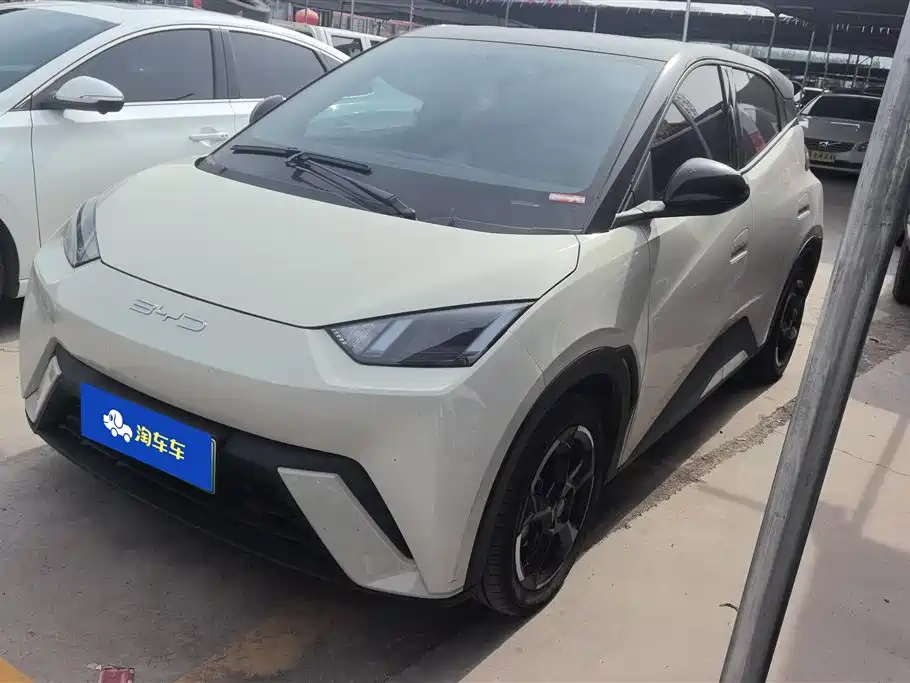 BYD Seagull 2024