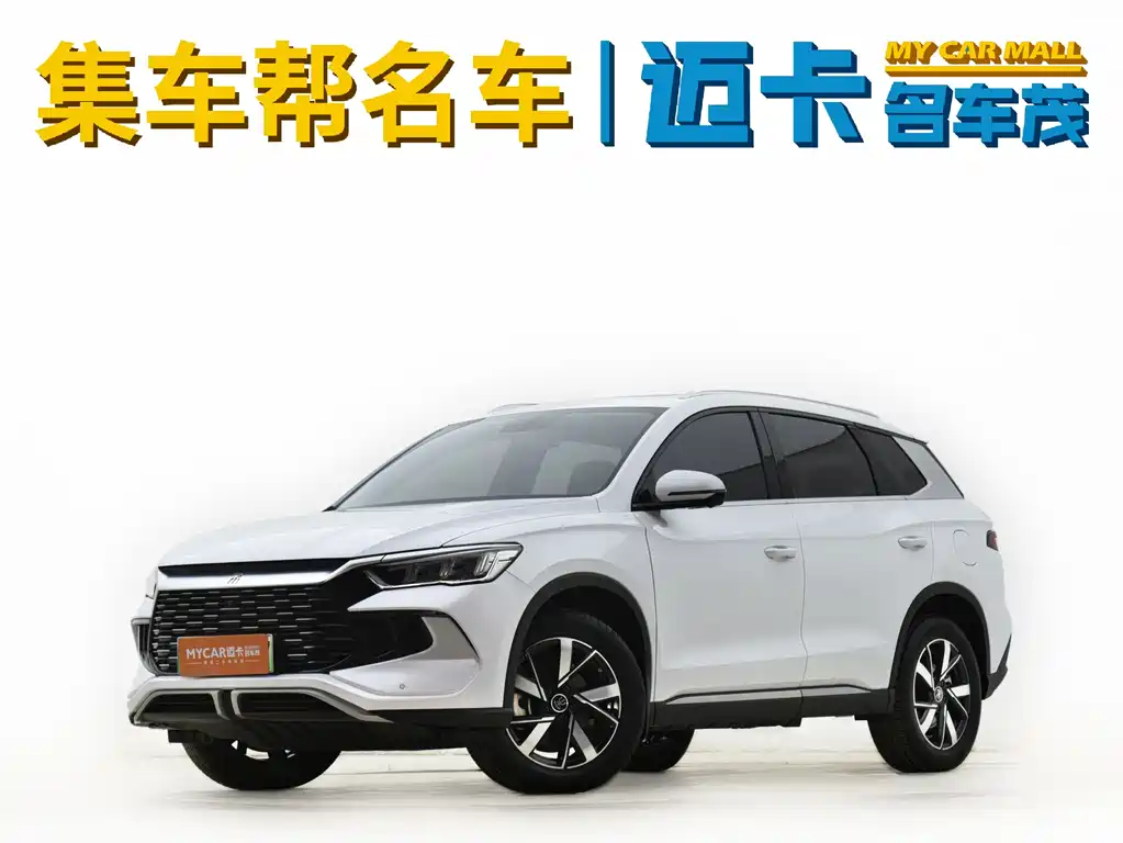 BYD Pro New Energy 2024