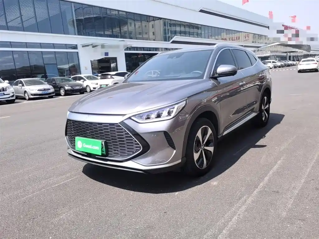 BYD PLUS New Energy 2022