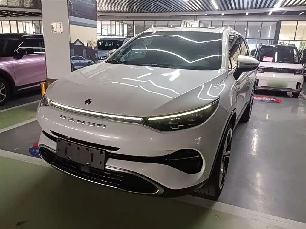 Denza Denza X 2021