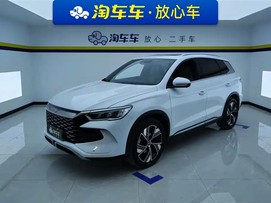BYD Pro New Energy 2024
