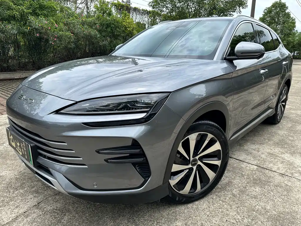 BYD PLUS New Energy 2024