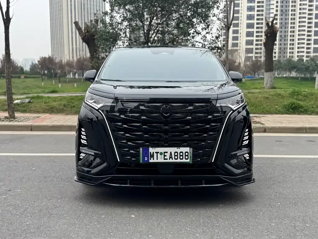 Denza D9 2024 DM-i 980 four-wheel drive premium model