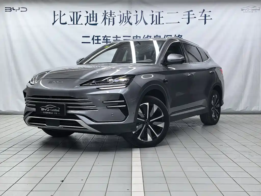 BYD PLUS New Energy 2025