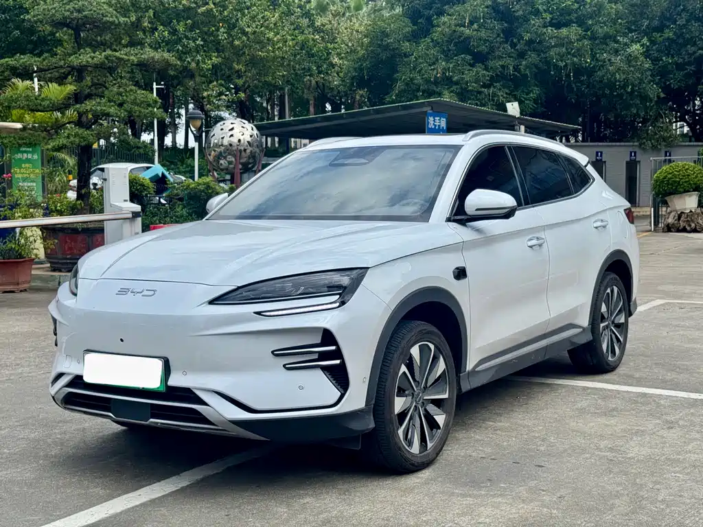 BYD PLUS New Energy 2025