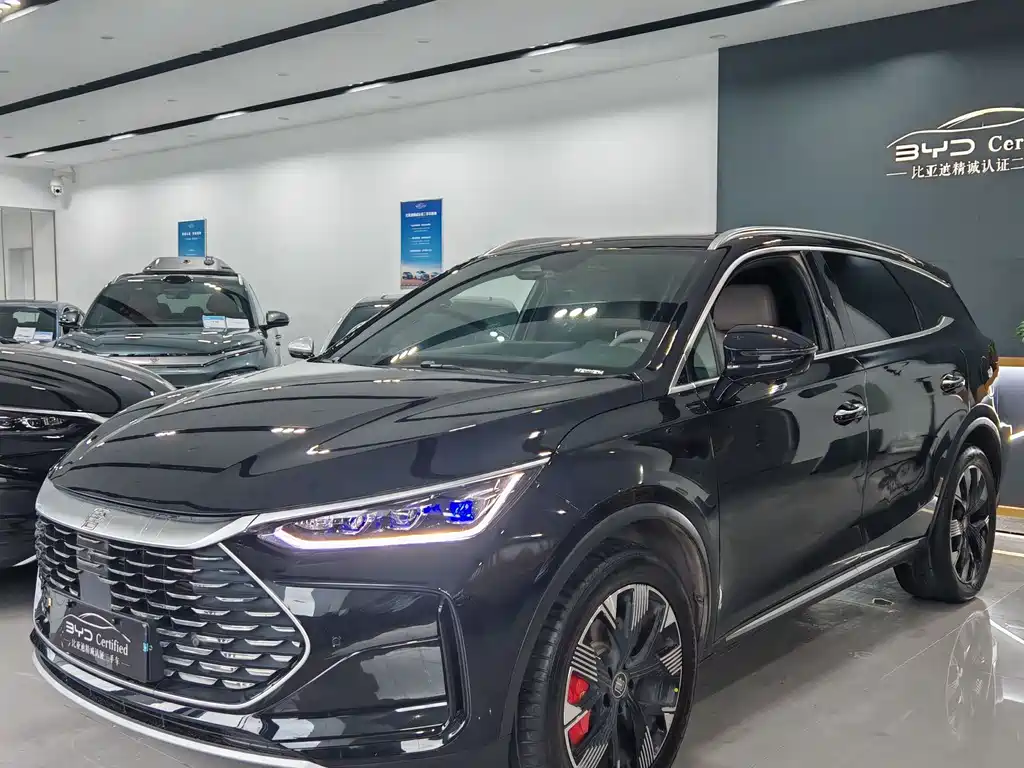 BYD Tang New Energy 2024