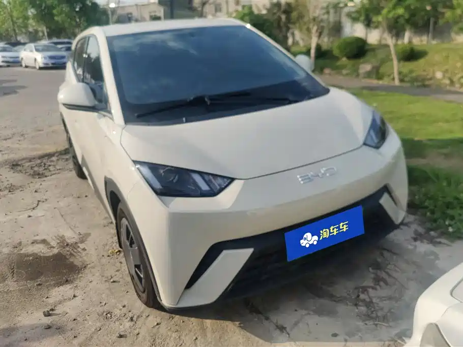 BYD Seagull 2024