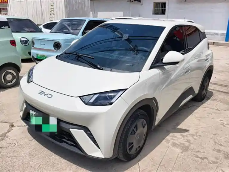 BYD Seagull 2024