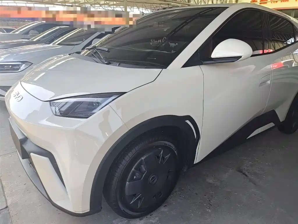 BYD Seagull 2024