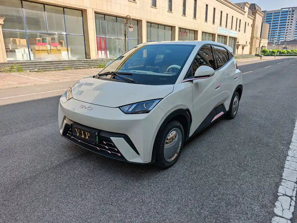 BYD Seagull 2024