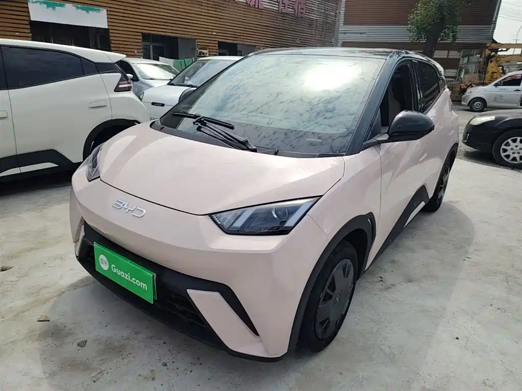 BYD Seagull 2024