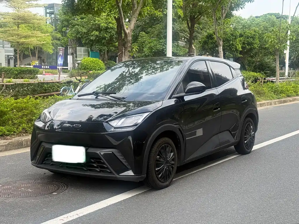 BYD Seagull 2025