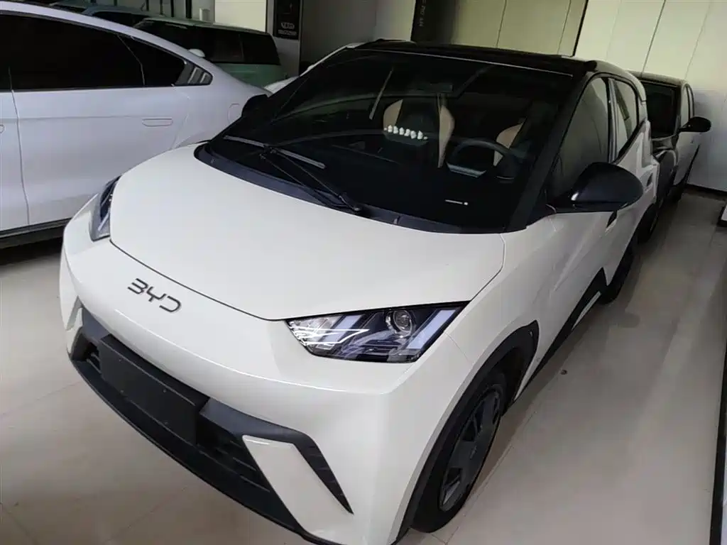 BYD Seagull 2024