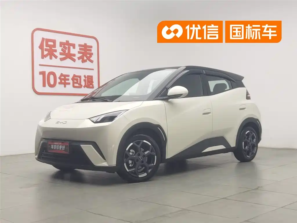 BYD Seagull 2025
