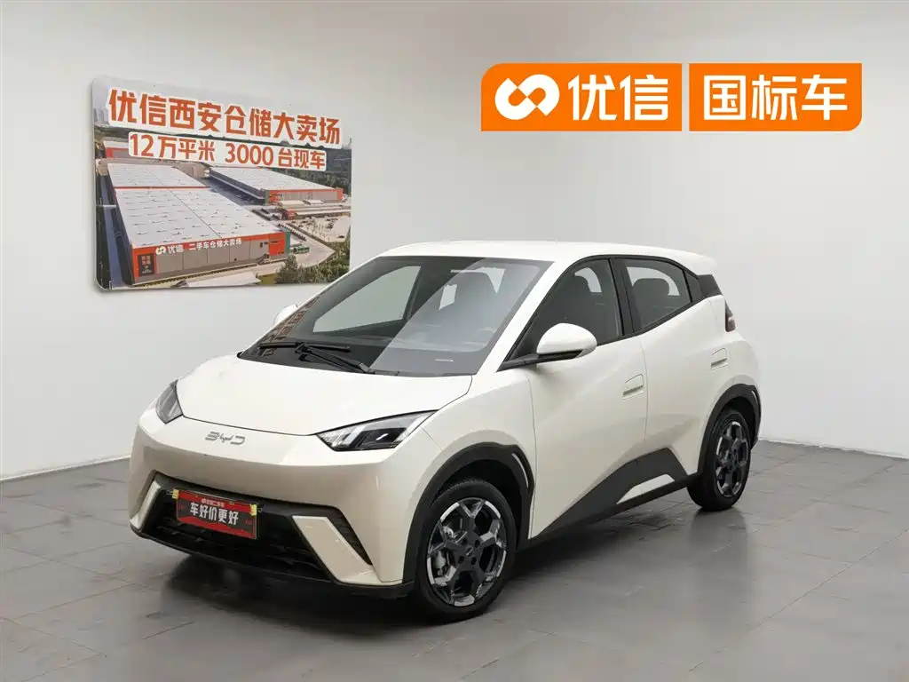 BYD Seagull 2024