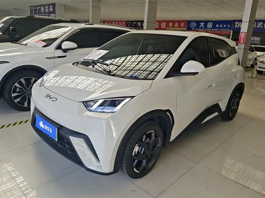 BYD Seagull 2024