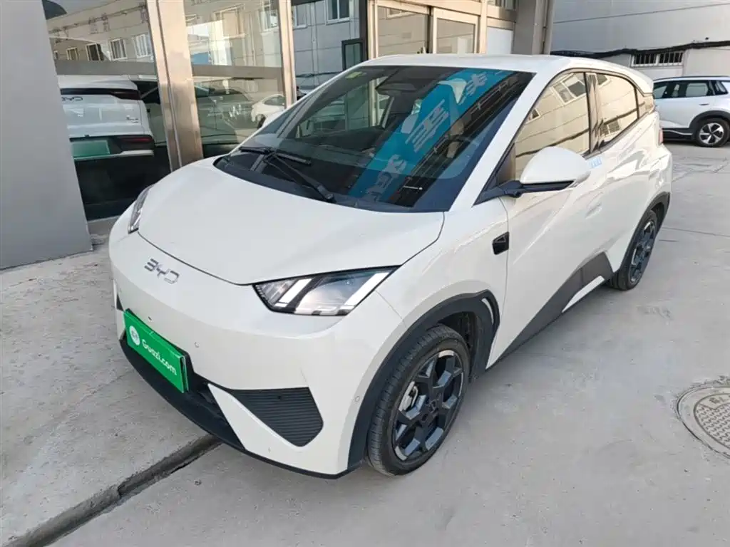 BYD Seagull 2025