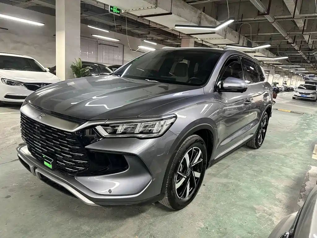 BYD Pro New Energy 2025