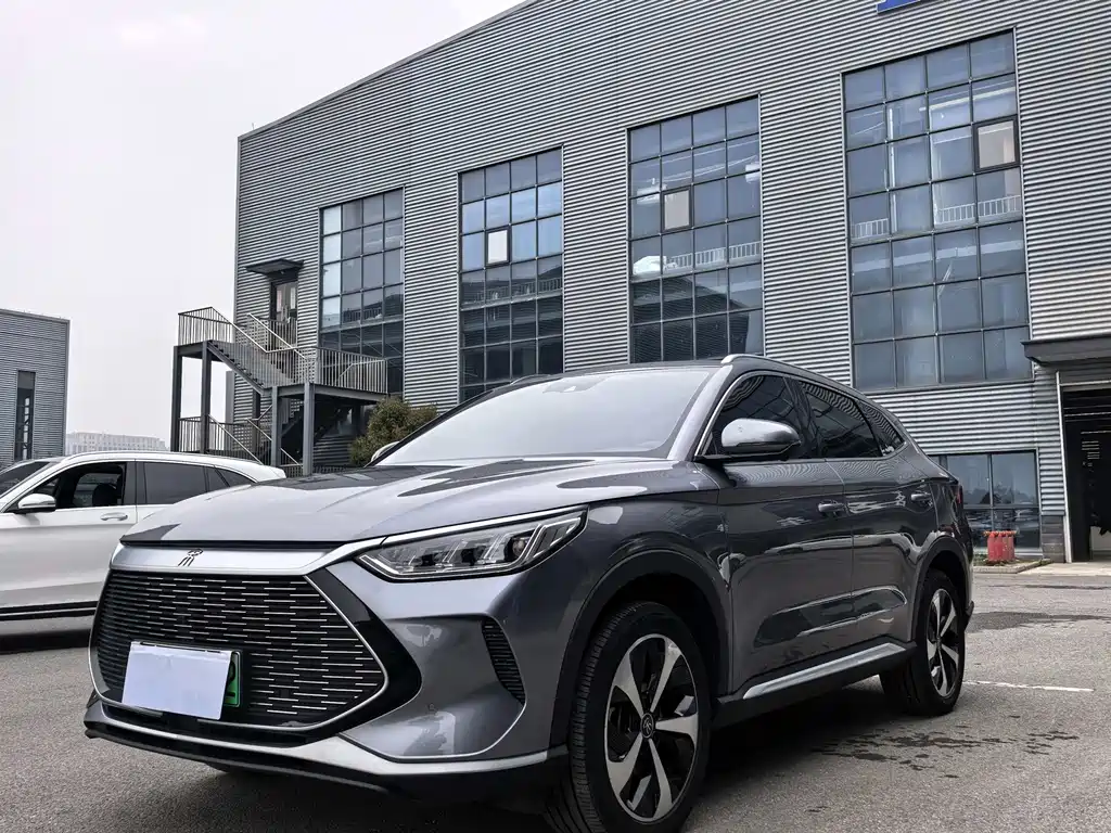 BYD PLUS New Energy 2024