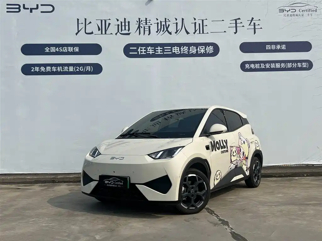 BYD Seagull 2025