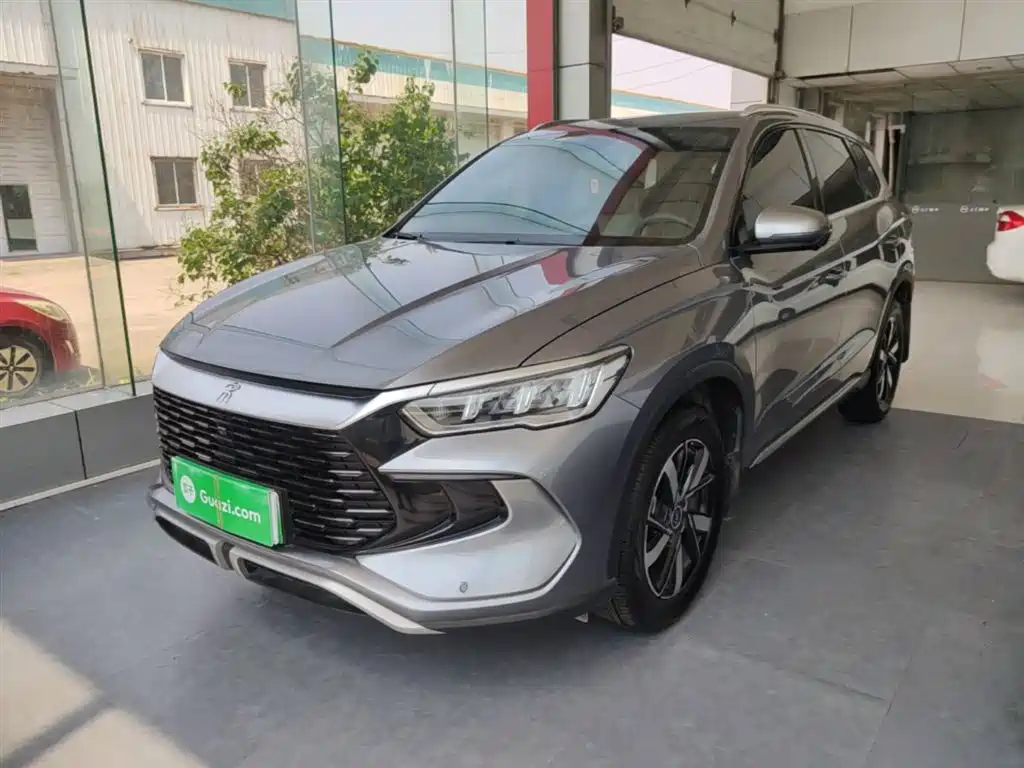BYD Pro New Energy 2024