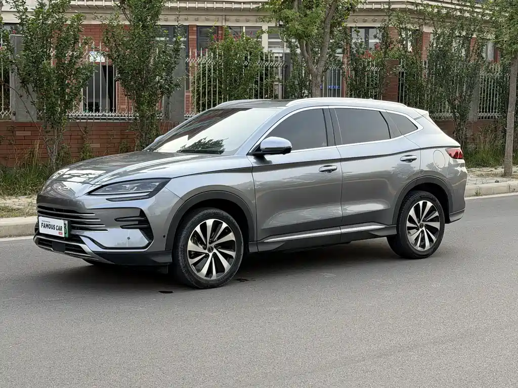 BYD PLUS New Energy 2024