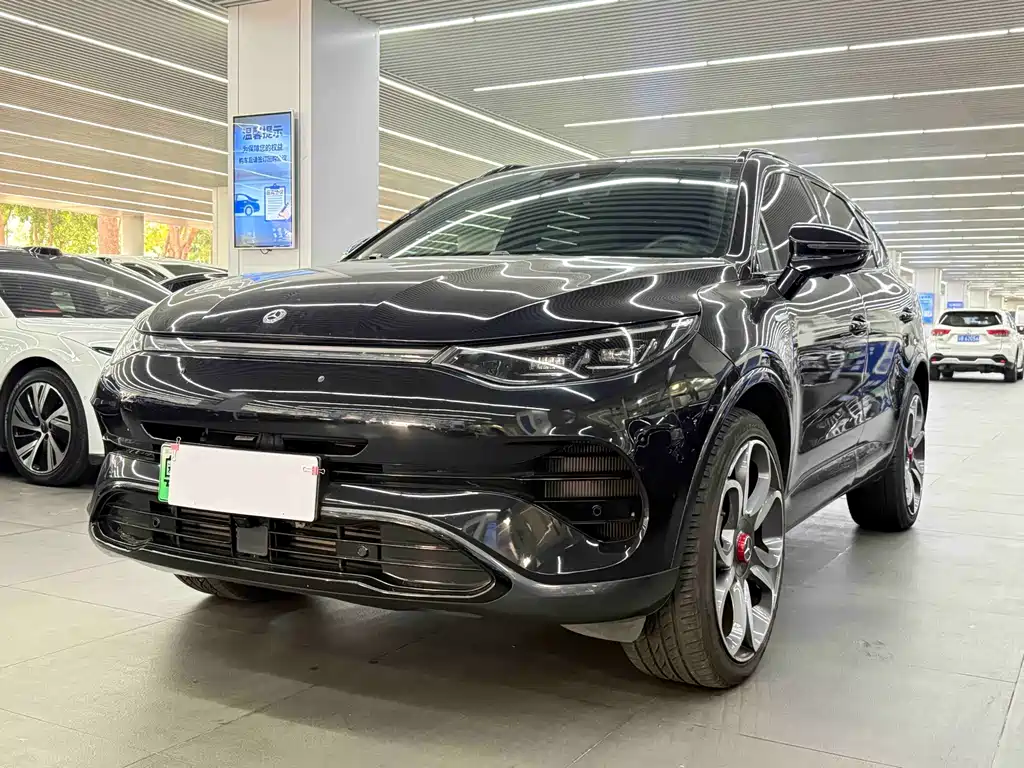 Denza Denza X 2021