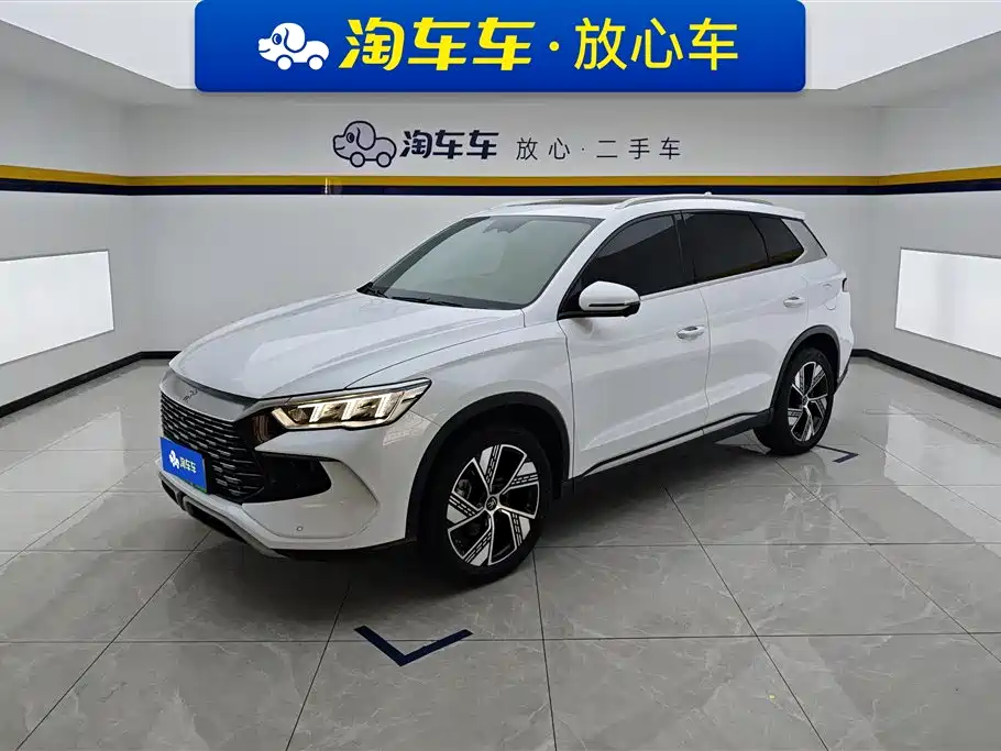 BYD Pro New Energy 2024