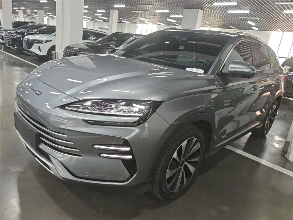 BYD PLUS New Energy 2024