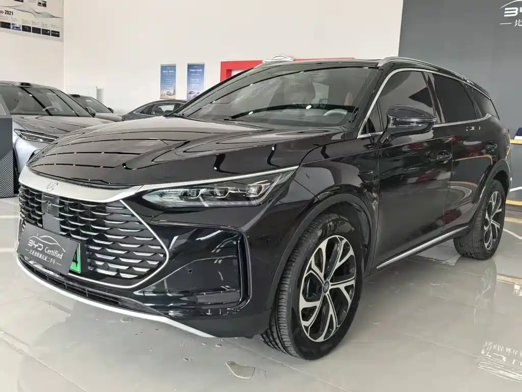 BYD Tang New Energy 2025