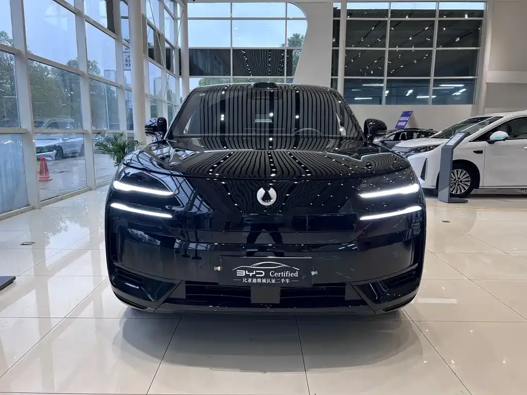 Denza N9 2025 flagship model