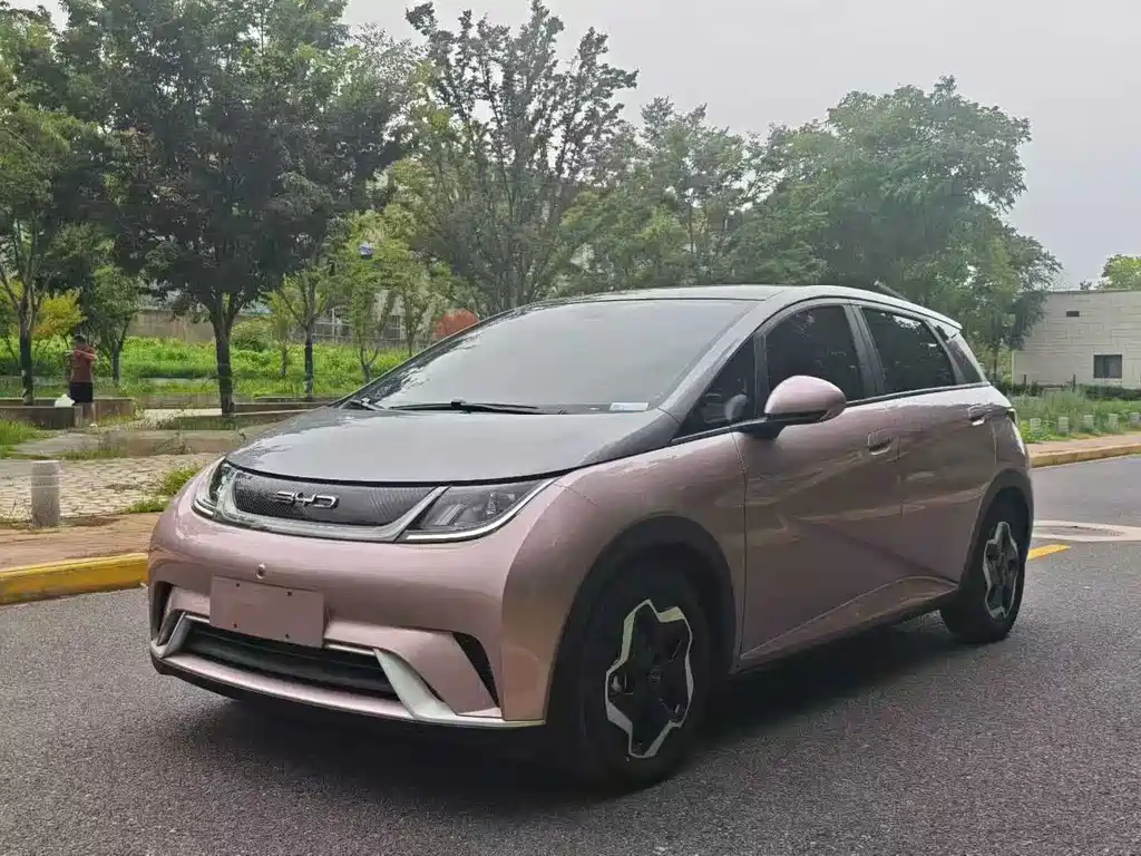 BYD Dolphin 2022