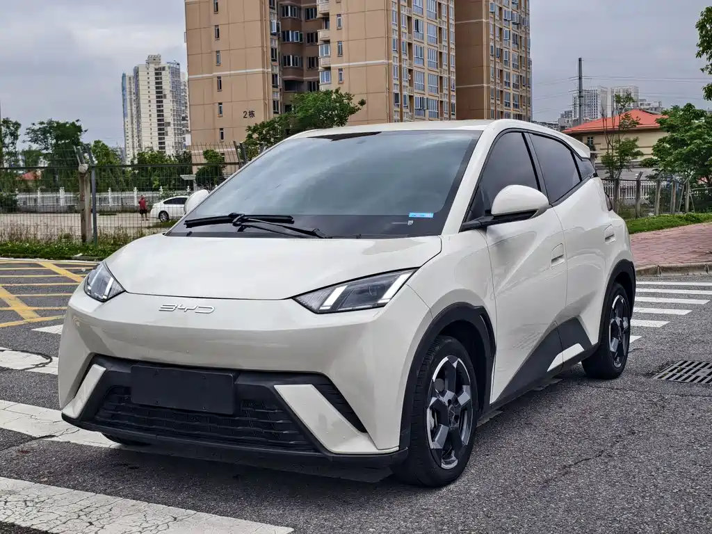 BYD Seagull 2024