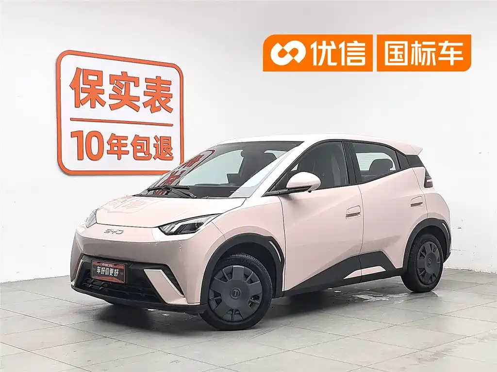 BYD Seagull 2024