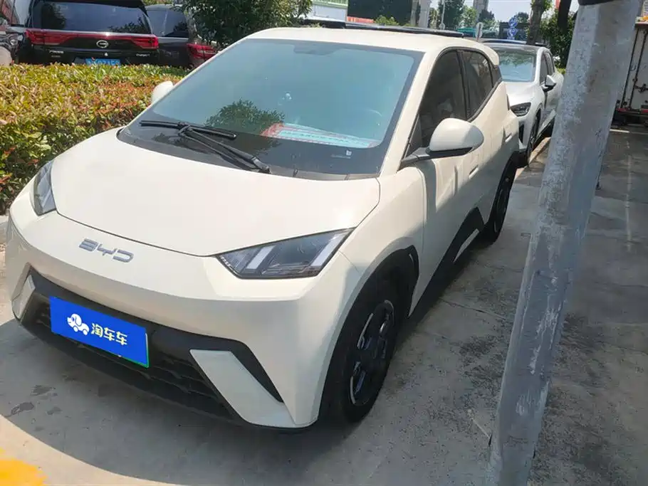 BYD Seagull 2024