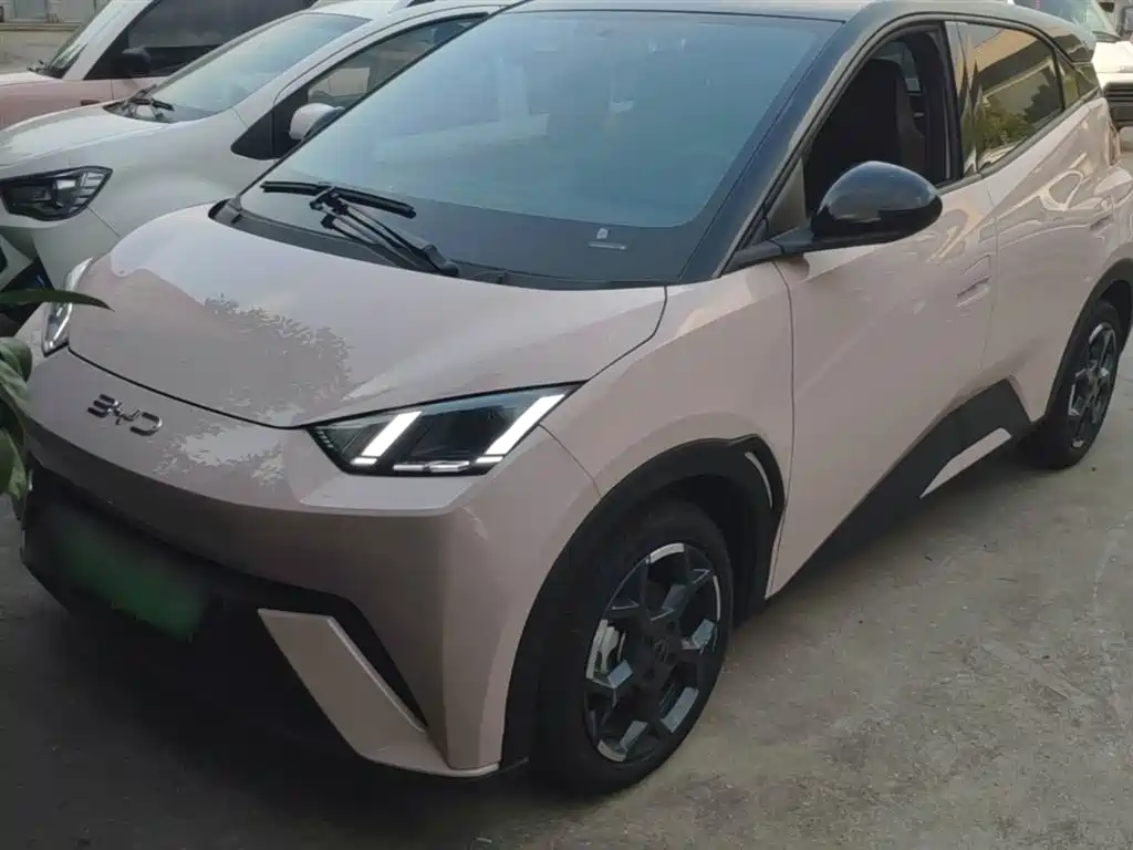 BYD Seagull 2024