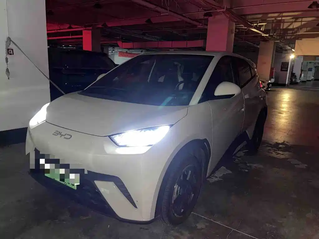 BYD Seagull 2024
