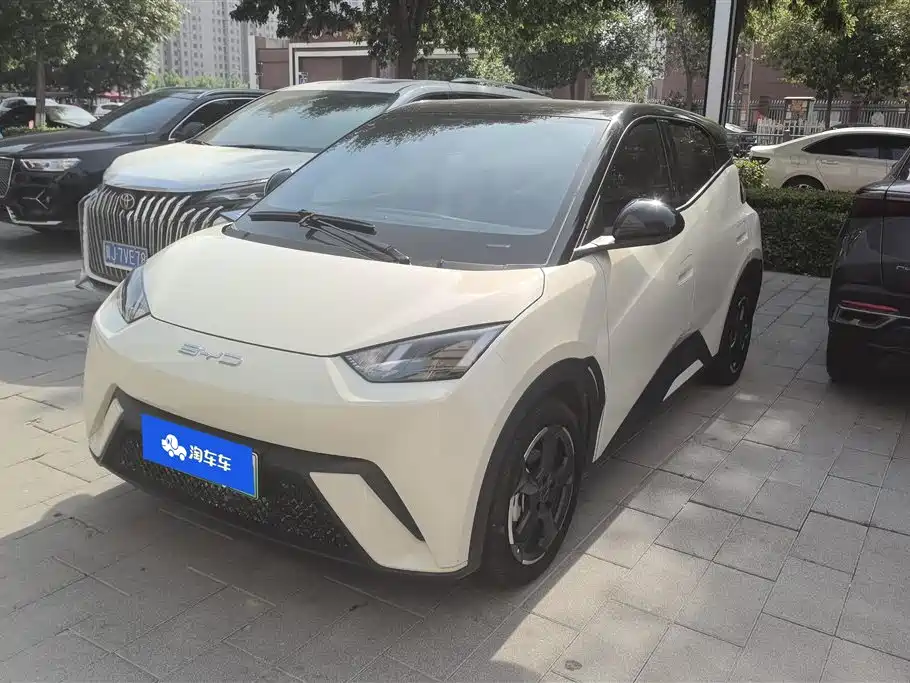 BYD Seagull 2024