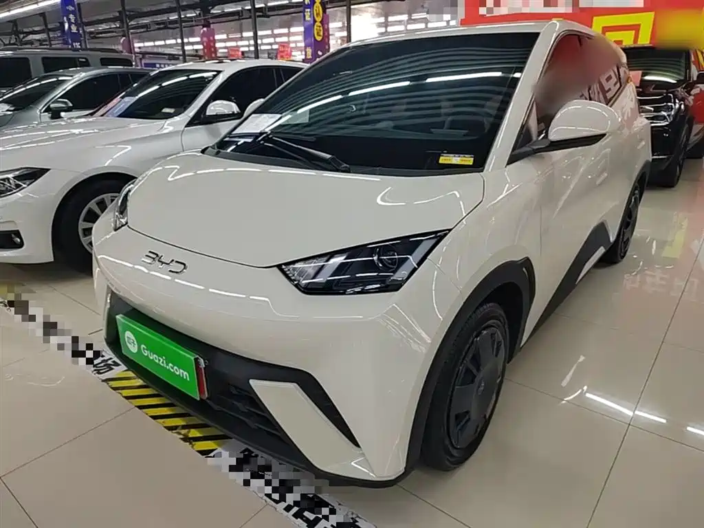 BYD Seagull 2025