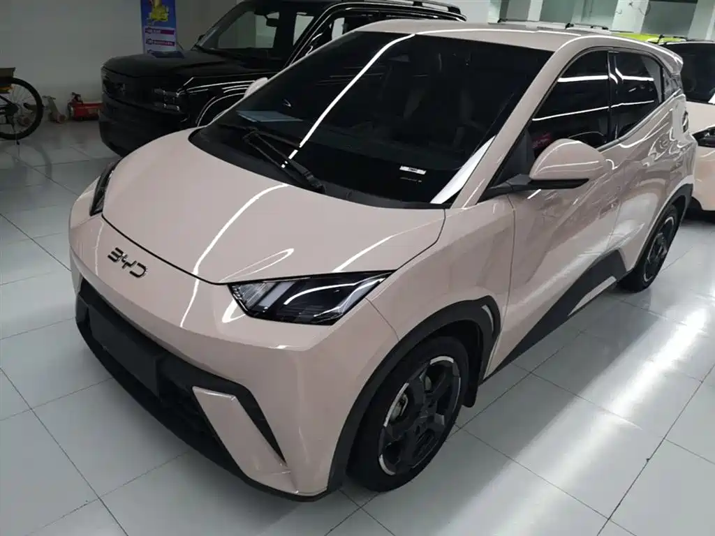 BYD Seagull 2024