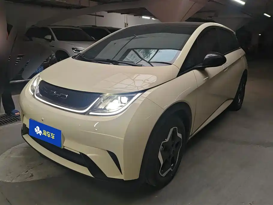 BYD Dolphin 2022