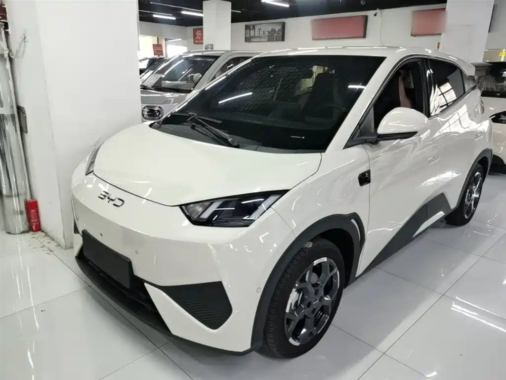 BYD Seagull 2025