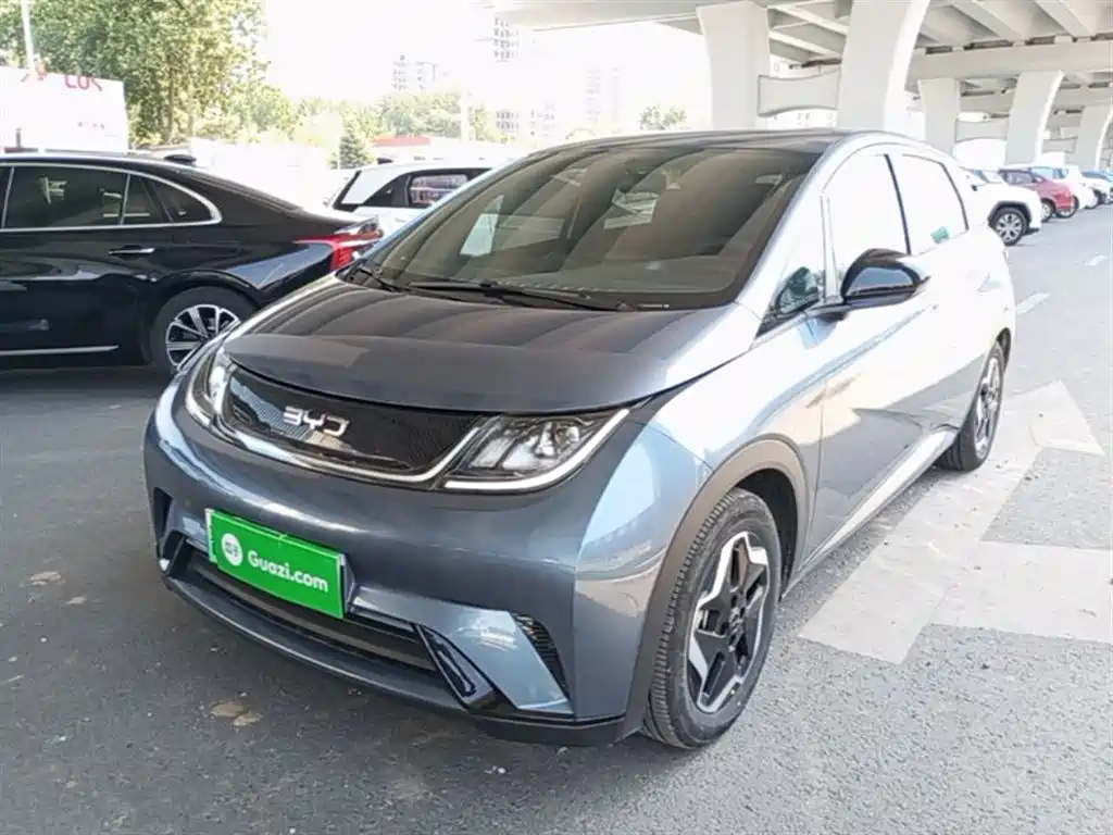 BYD Dolphin 2025
