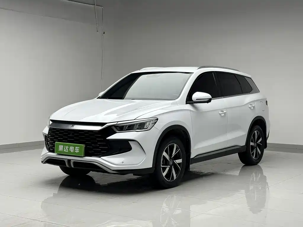 BYD Pro New Energy 2024