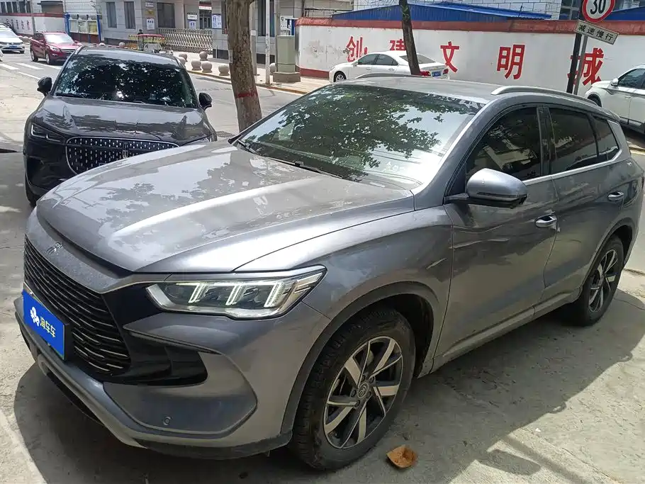 BYD Pro New Energy 2025