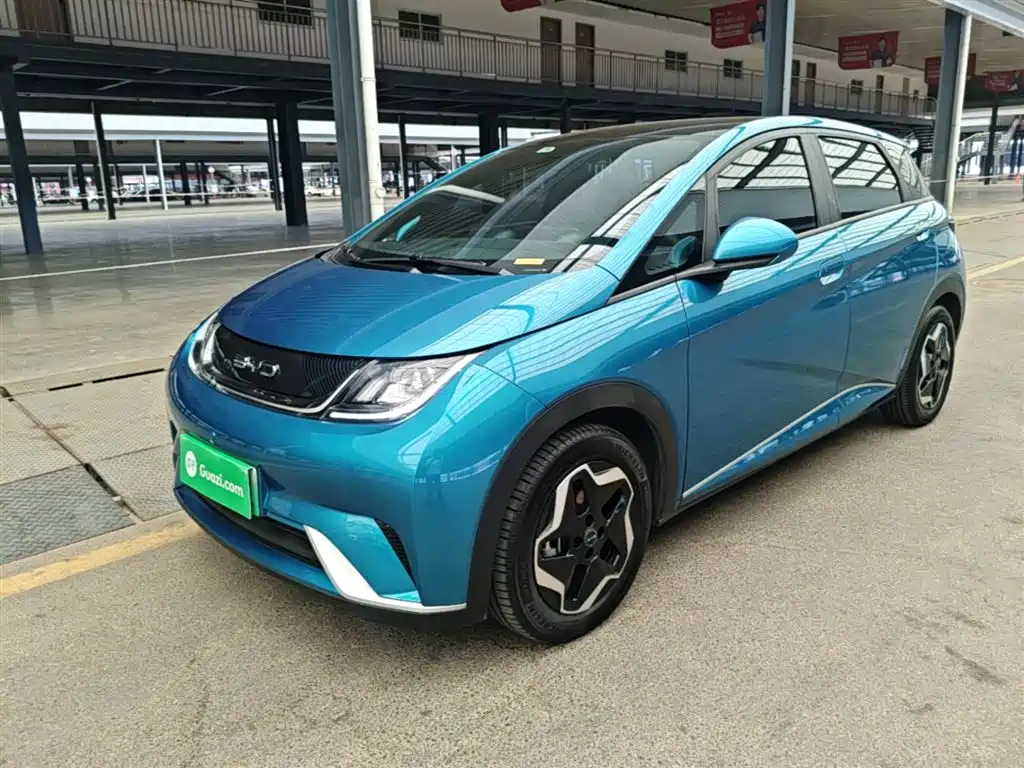 BYD Dolphin 2022