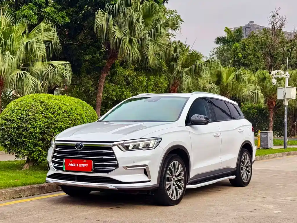 BYD Pro New Energy 2020