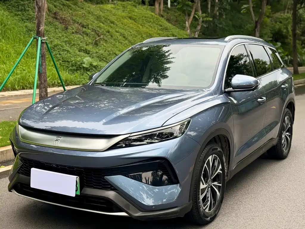 BYD Pro New Energy 2025