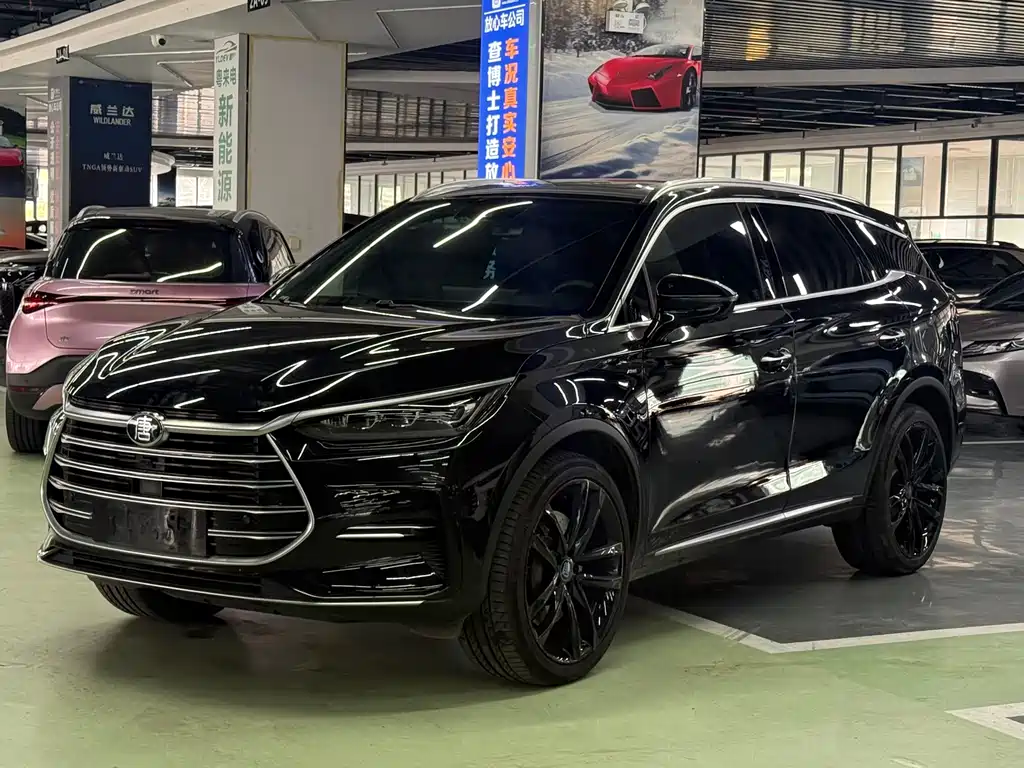 BYD Tang New Energy 2021