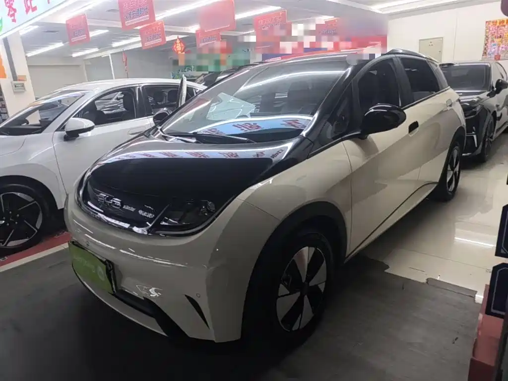 BYD Dolphin 2024